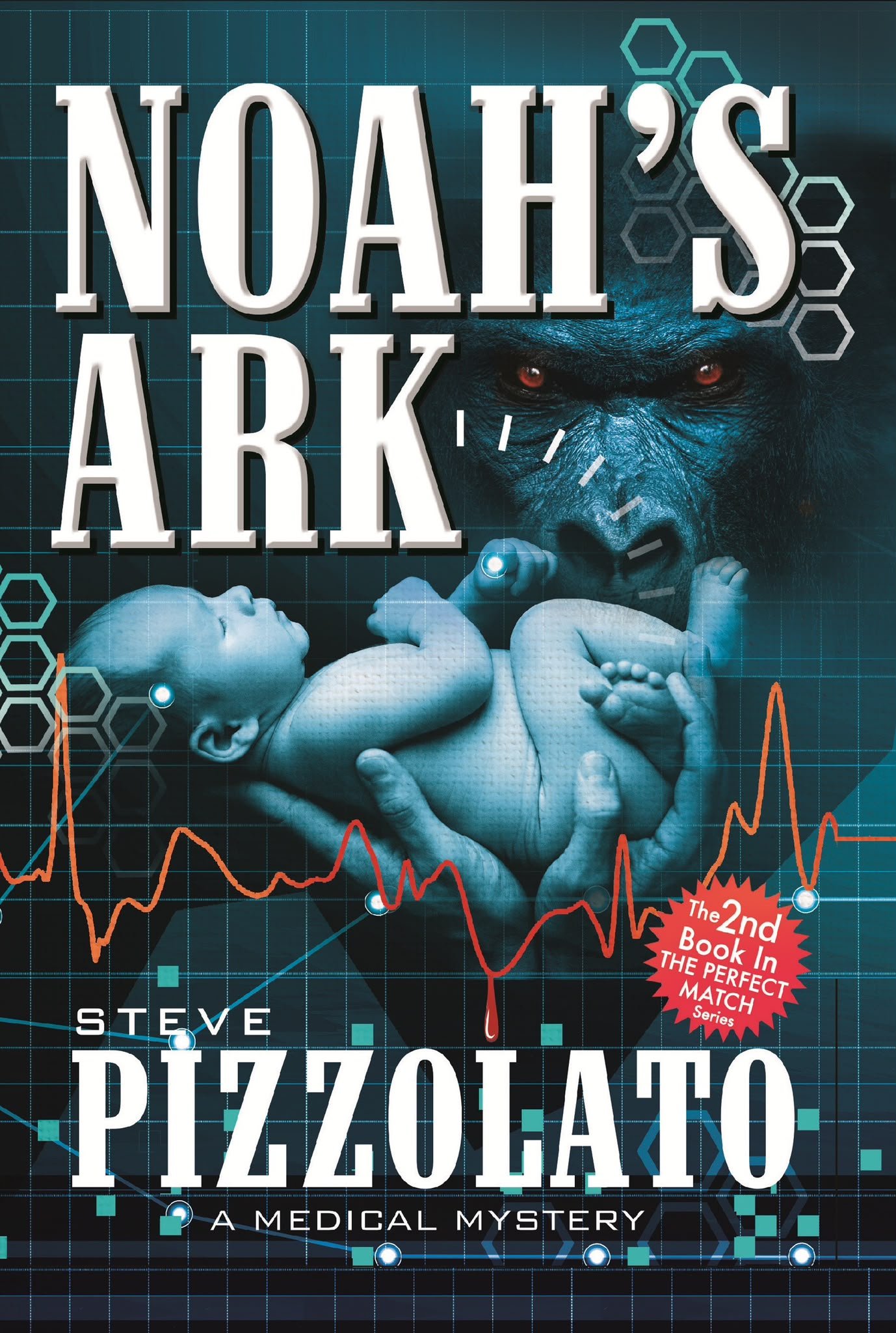 Noah's Ark by Steve Pizzolato